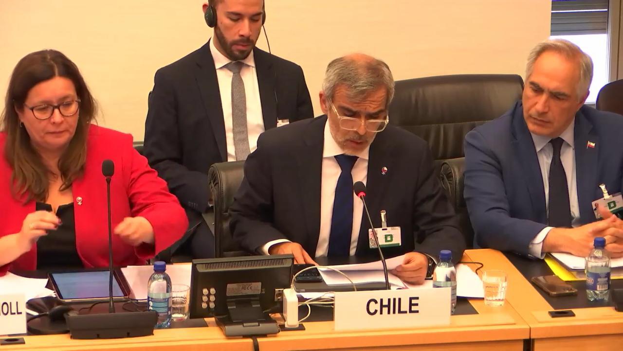 Comité de Derechos Humanos de la ONU publicó conclusiones sobre Chile