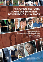 principios rectores sobre las empresas y los derechos humanos